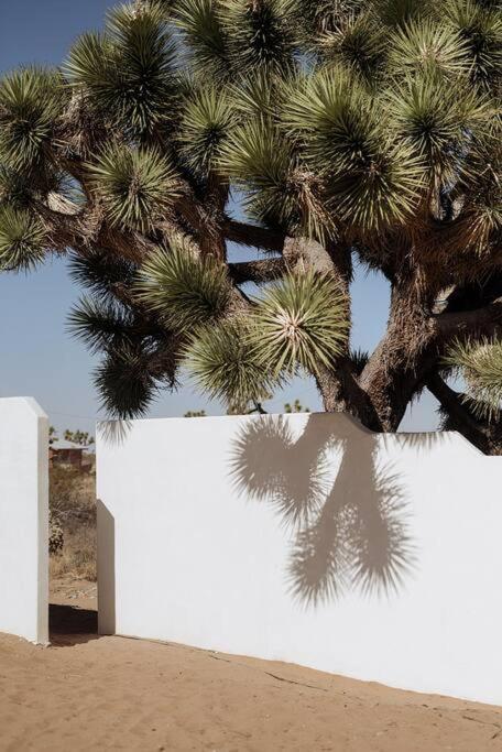 Le Chacuel Vila Joshua Tree Exterior foto